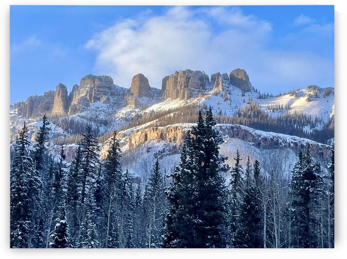 Snowing on the Poles  by Dick Davis