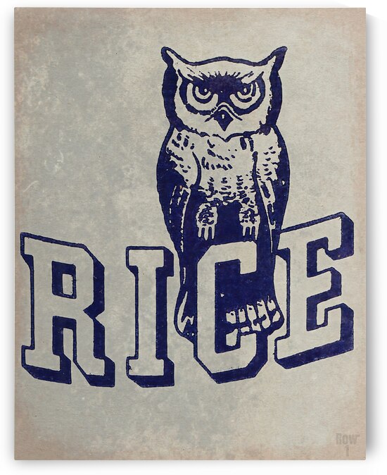 Vintage Rice Owl Mascot Art by Row One Brand