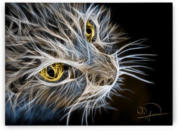 Cat Abstracto by Tazmatic