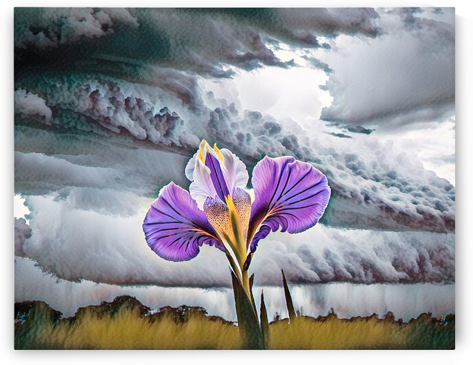 I Am Not Afraid in Watercolor by Bill Swartwout Photography