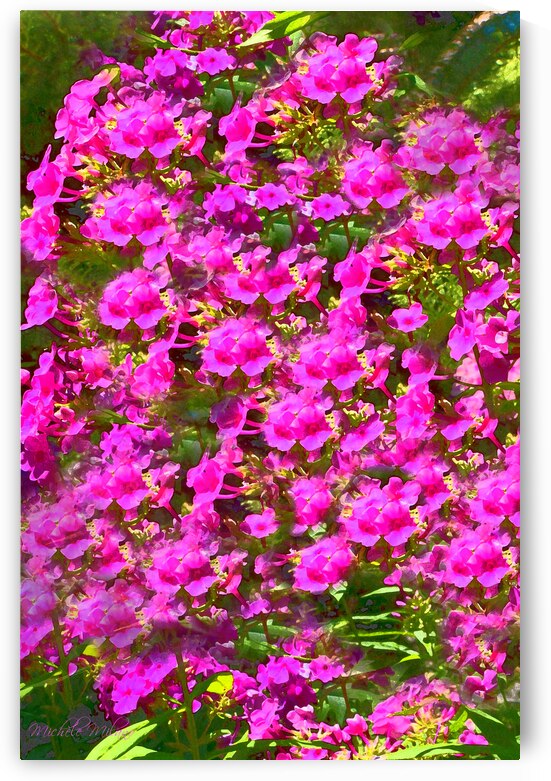 Delphinium Madness by Michele Milano Arts