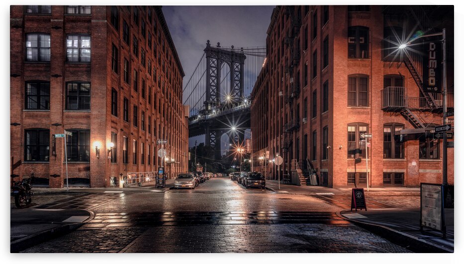 Follow the Rabbit by Dutch Photographer