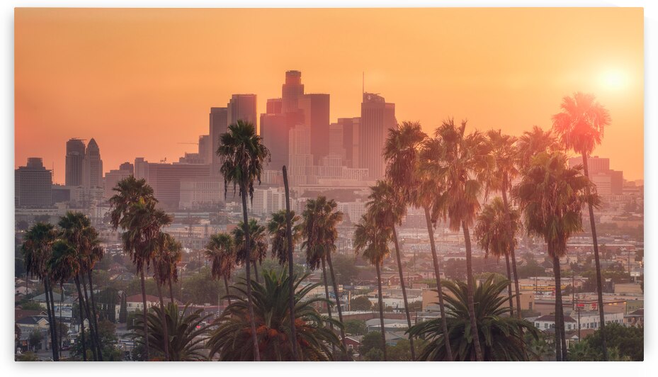 California Dreaming by Dutch Photographer