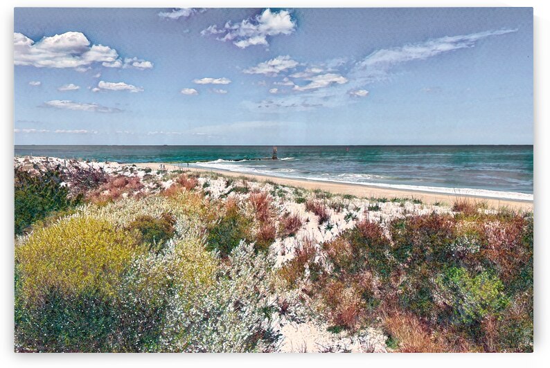 Indian River Inlet Dunes and Beach Watercolor by Bill Swartwout Photography