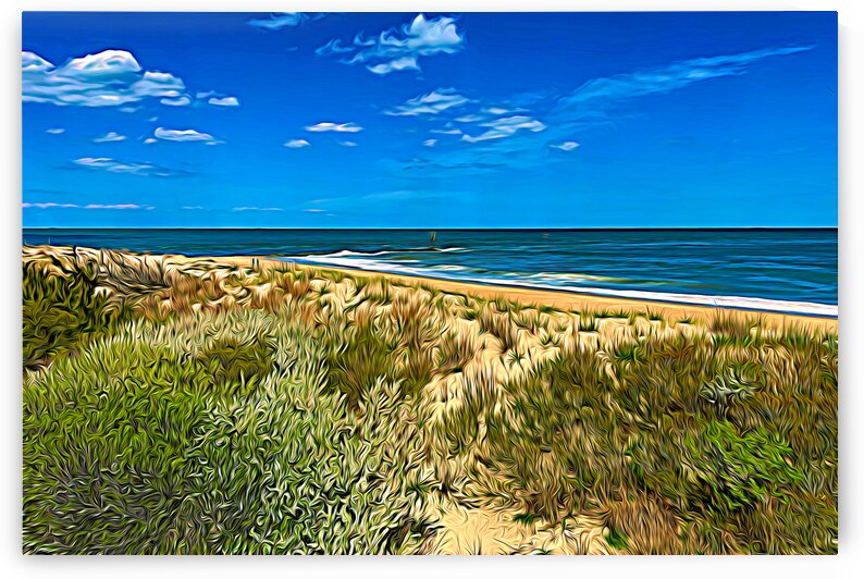 Indian River Inlet Dunes and Beach Expressionism by Bill Swartwout Photography