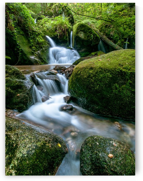 Small Waterfall in the German Black Forest by Andreas Wonisch