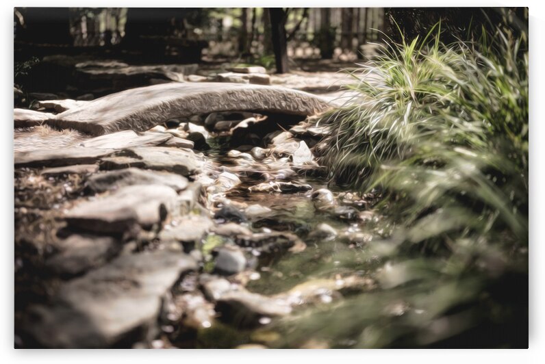 Red Wing Park VA by RawBeltPhotos