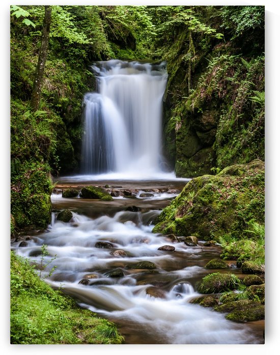 Watefall in the Black Forest in Germany by Andreas Wonisch