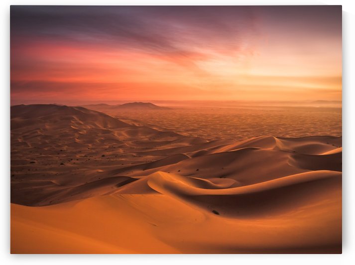 Sunset in the Desert by Andreas Wonisch