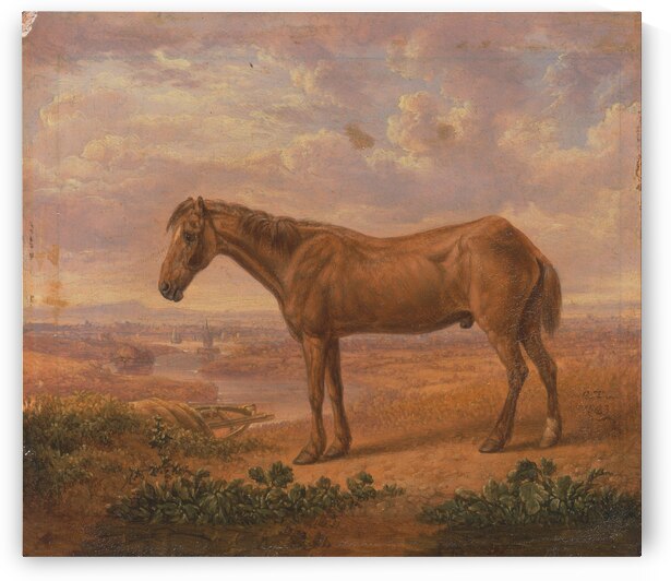   Old Billy a Draught Horse Aged 62 by Charles Towne  by Goldfishwallart