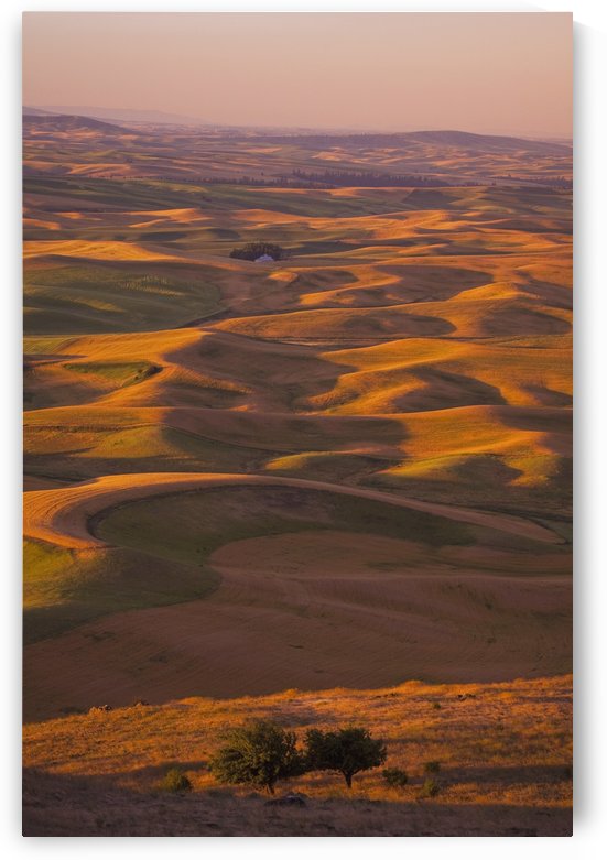 Hilly Landscape by PacificStock