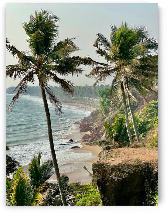 Palm Trees by the Beach by Jimmy Roy Photos