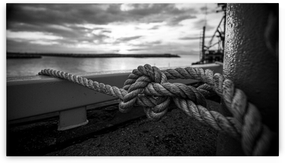 Complice - BW by Sebastien Vallee