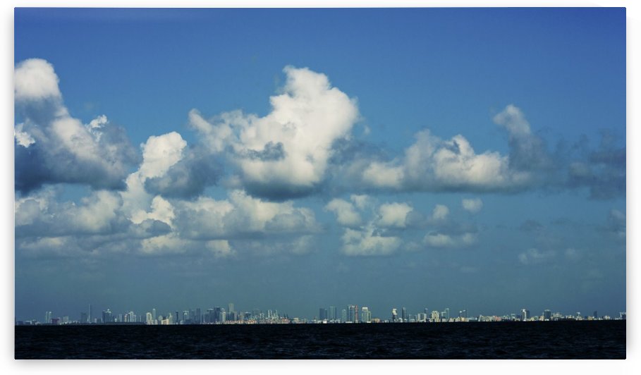 Miami Skyline by Cameron Young