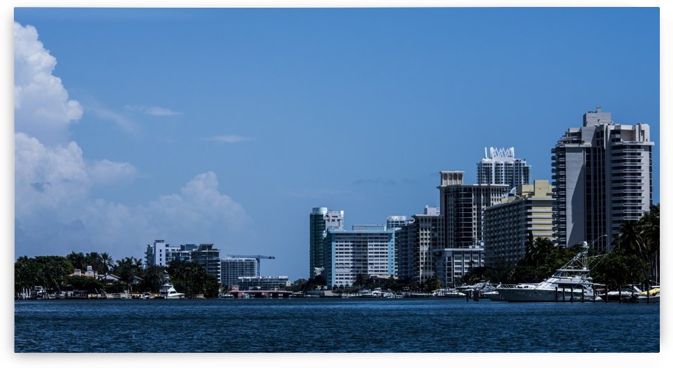 Biscayne Bay by Cameron Young