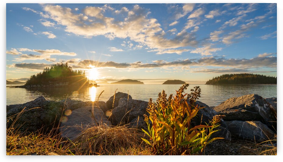 L incontournable Bic   La belle saison no2 by Sebastien Vallee