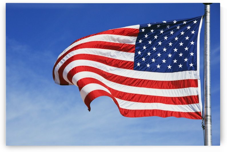 The American Flag by PacificStock