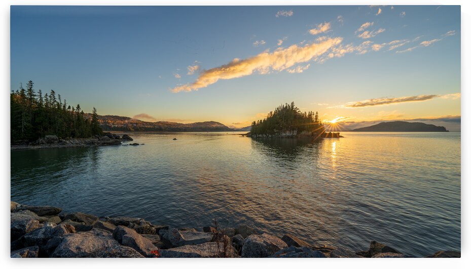 L incontournable Bic   La belle saison no4 by Sebastien Vallee