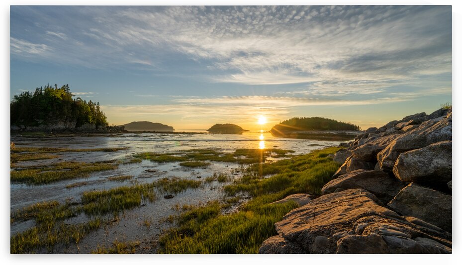 L incontournable Bic   La belle saison no3 by Sebastien Vallee