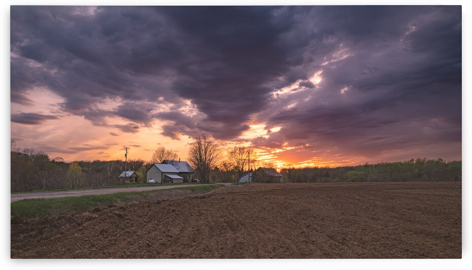 The start of a new harvest by Adrien Cote