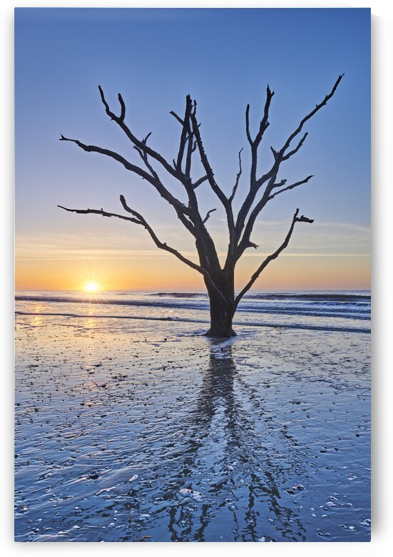 Sunrise at Botany Bay by Images By Jon Evan