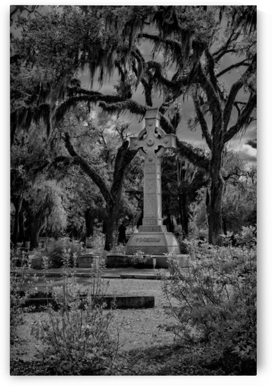 The Cross in Bonaventure by Images By Jon Evan