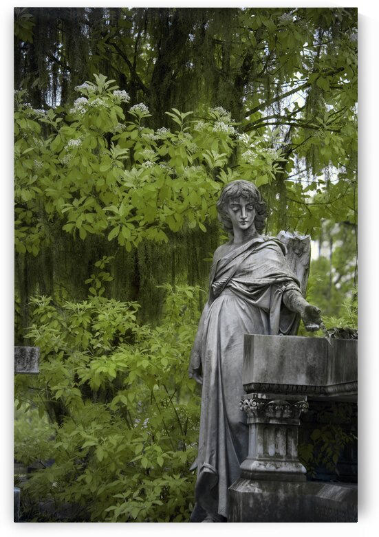 Angel at Bonaventure by Images By Jon Evan