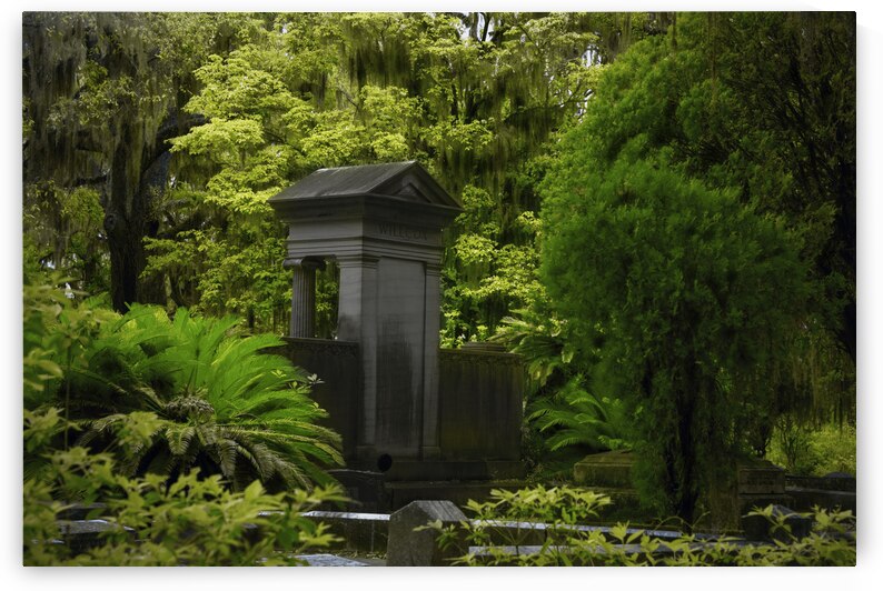 Grave in Georgia by Images By Jon Evan