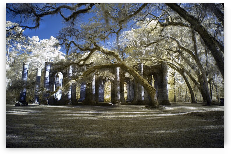 Sheldon Church Ruins by Images By Jon Evan