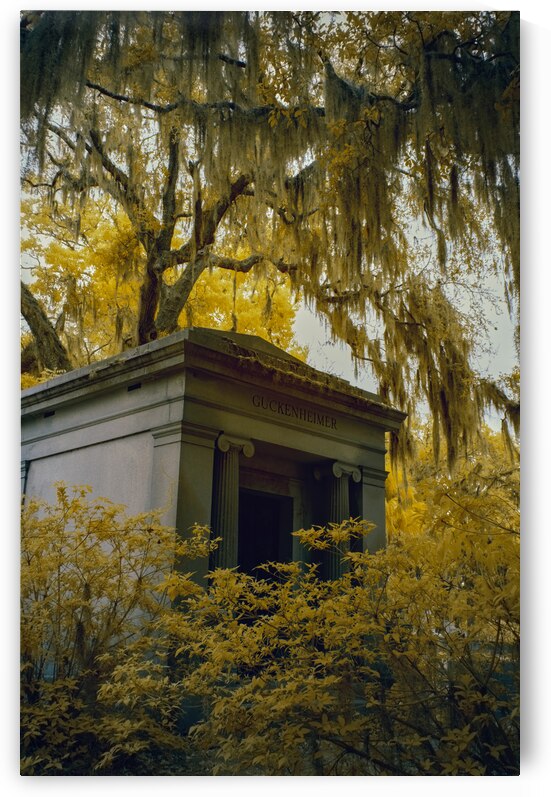 Mausoleum in Georgia 4 by Images By Jon Evan