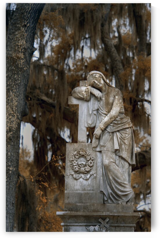 Lady in Bonaventure by Images By Jon Evan