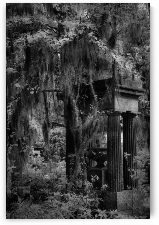 Bonaventure Graves III by Images By Jon Evan