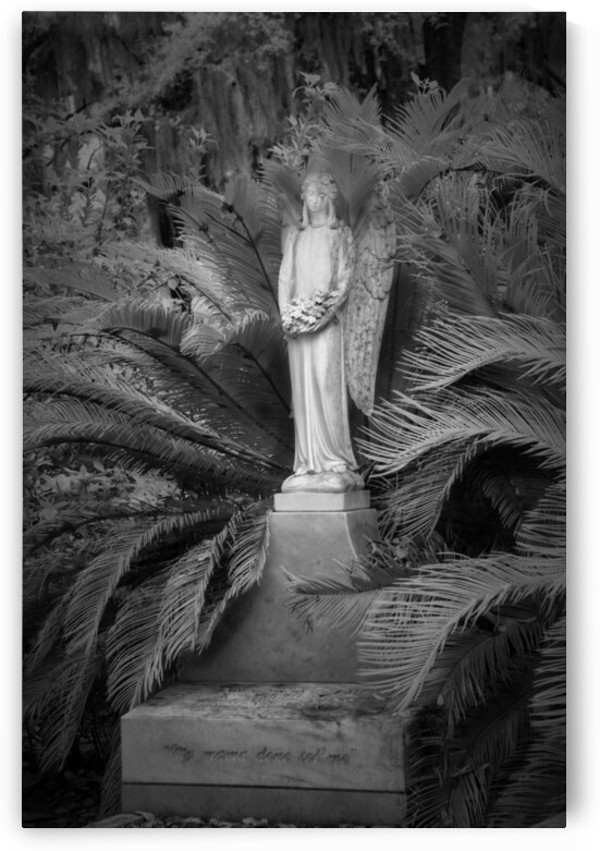Peaceful Thoughts at Bonaventure Cemetary II by Images By Jon Evan