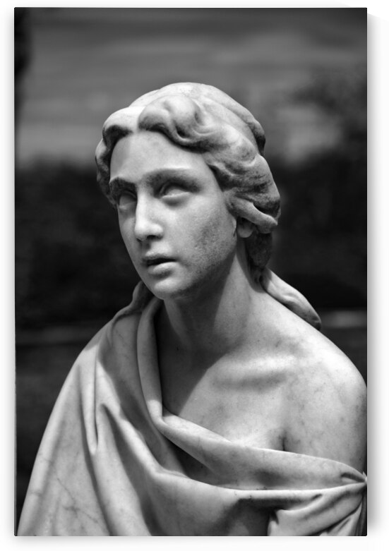 Madonna in Cemetary II by Images By Jon Evan