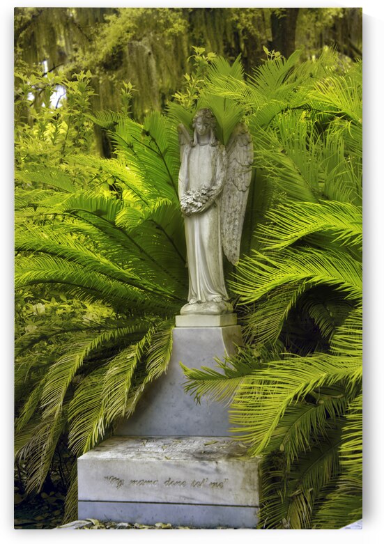 Peaceful Thoughts at Bonaventure Cemetary by Images By Jon Evan