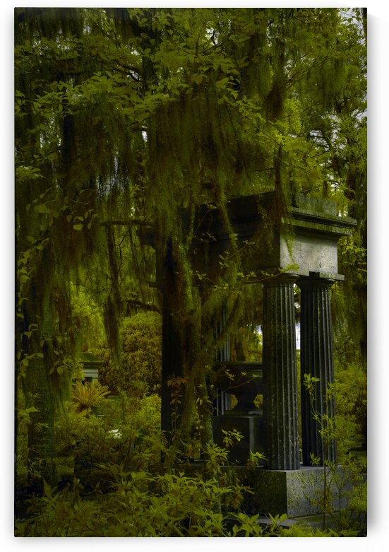 Bonaventure Graves by Images By Jon Evan