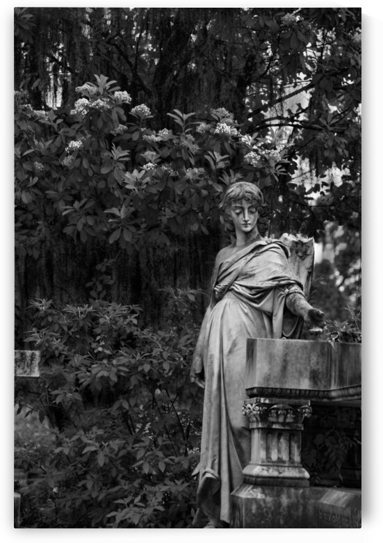 Angel at Bonaventure II by Images By Jon Evan