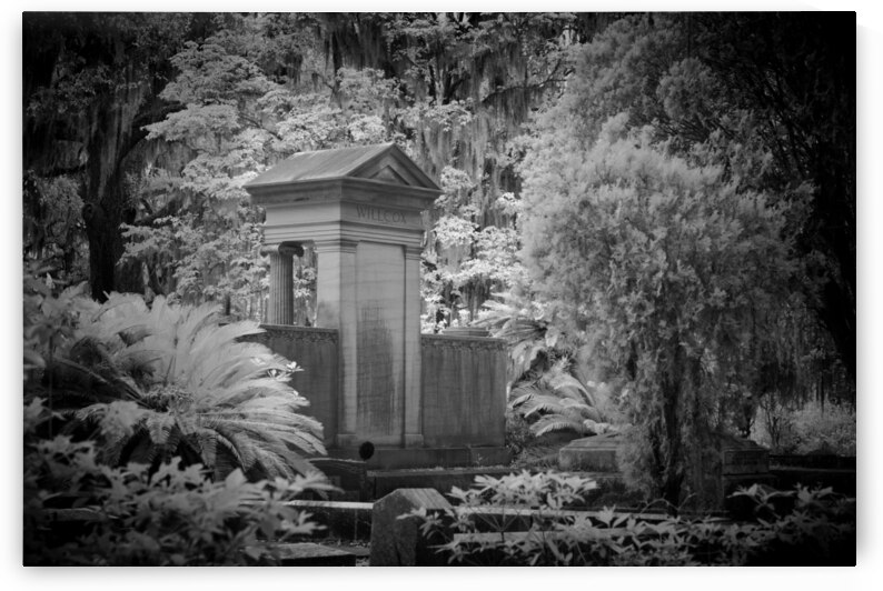 WillCox Grave by Images By Jon Evan