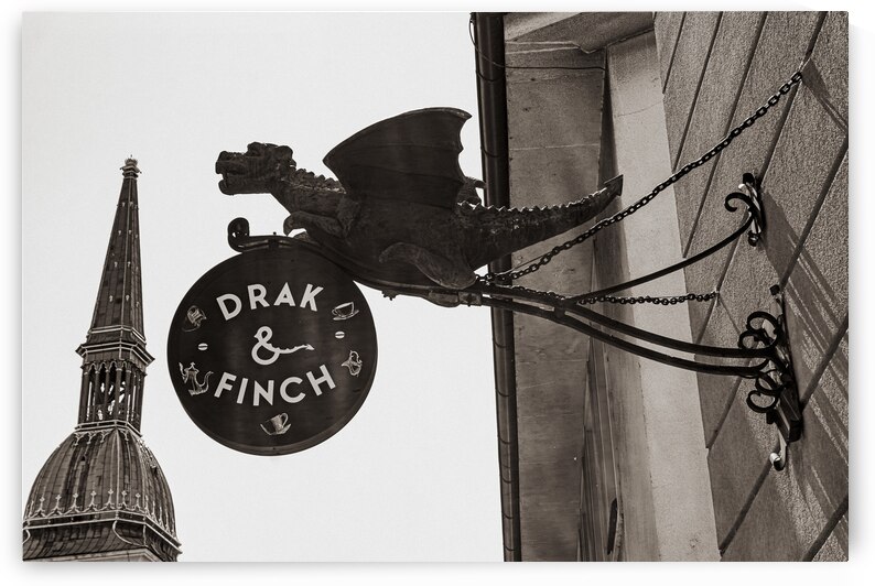 drakfinchFULL by GK Art Shots