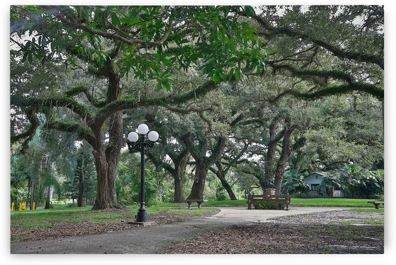  Flamingo Gardens by Images By Jon Evan