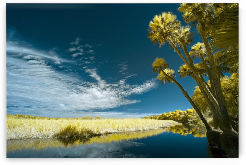 Florida State Park by Images By Jon Evan