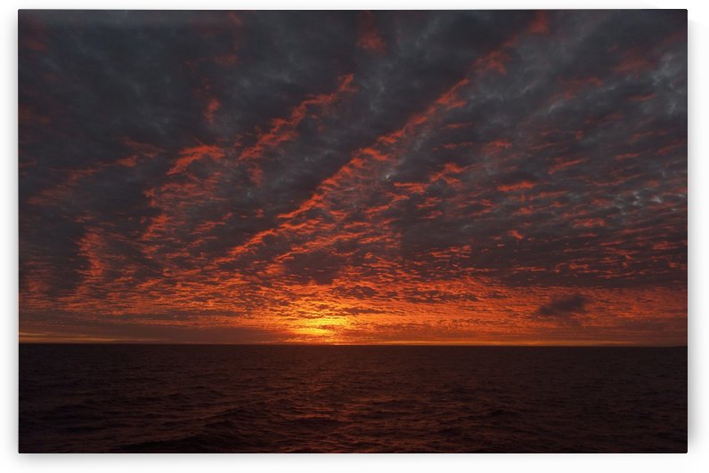 A Sunset Over The Pacific Ocean; Galapagos, Equador by PacificStock
