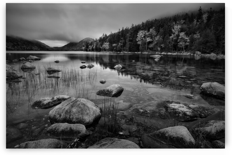 Fog on Bubble Pond by Images By Jon Evan