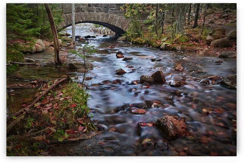Acadia Park Stream by Images By Jon Evan
