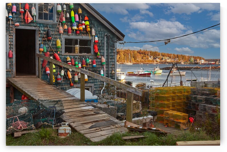 Fishing Shack In Harbor by Images By Jon Evan