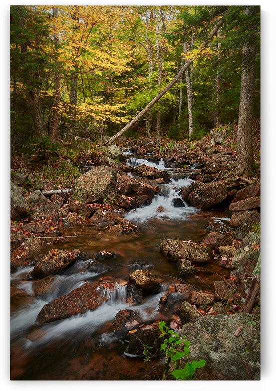 Cascade in Acadia Park by Images By Jon Evan