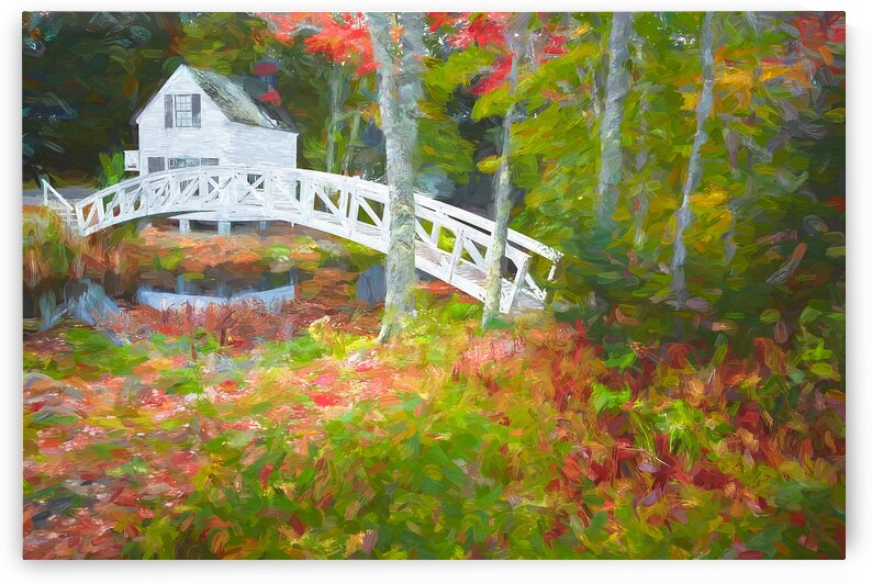 Bar Harbor Town by Images By Jon Evan