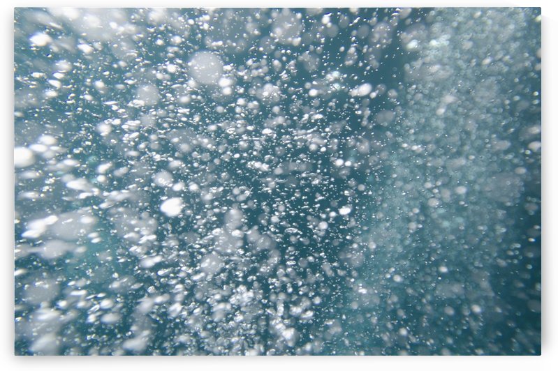 Bubbles Underwater; Galapagos, Equador by PacificStock