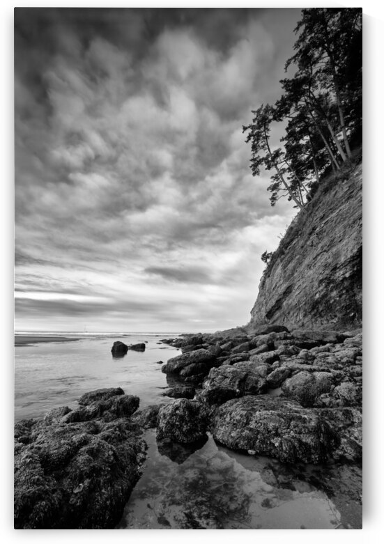Smuggler Cove on the Oregon Coast by Images By Jon Evan