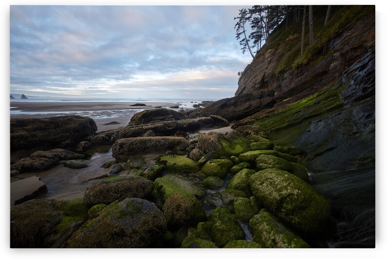 Smugglers Cove in the Morning by Images By Jon Evan